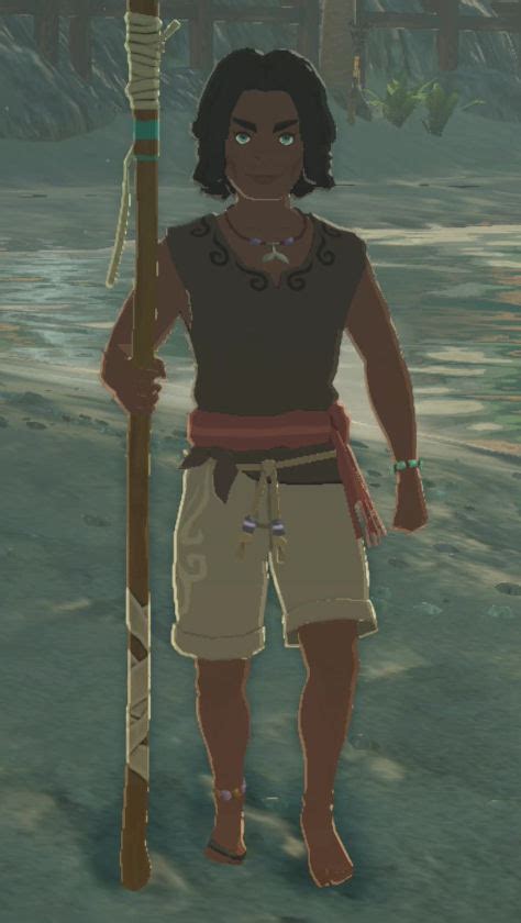 breath of the wild numar